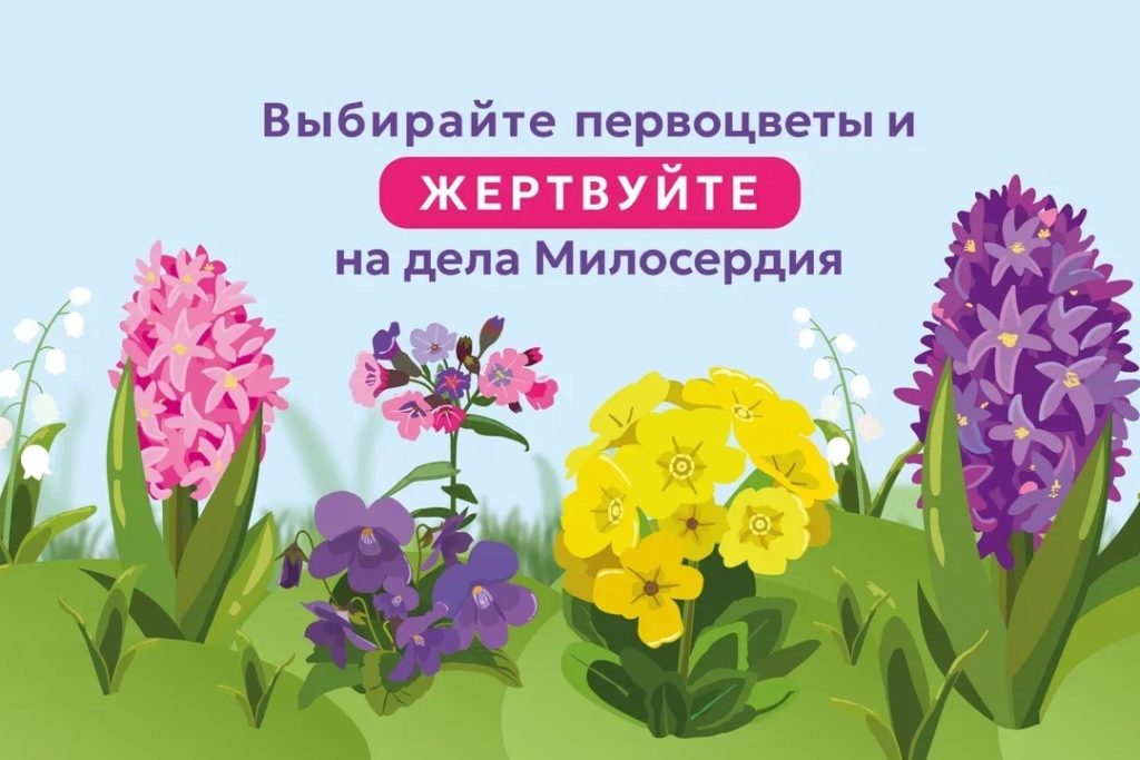 Стартовала акция в поддержку портала Милосердие.ru